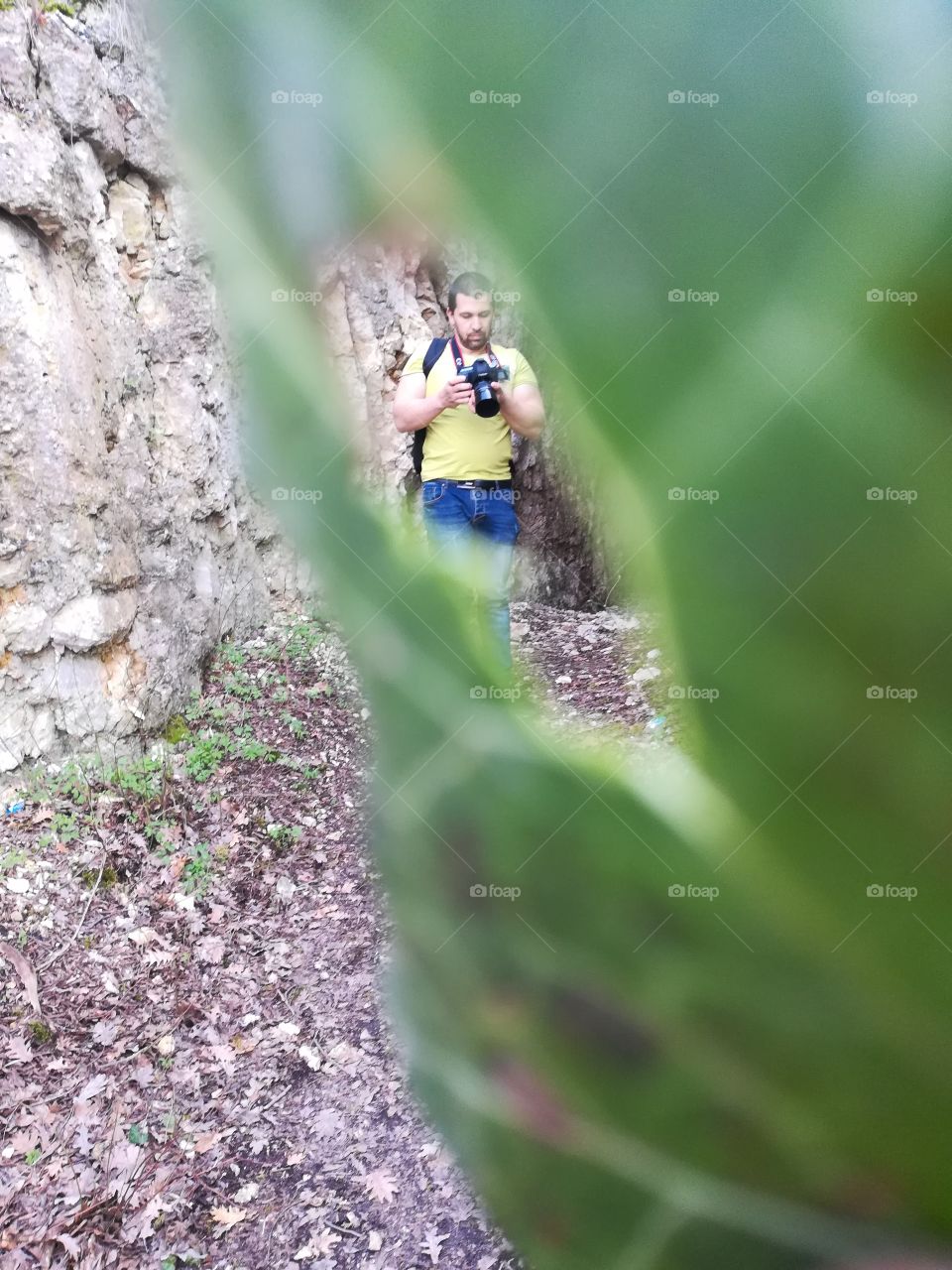 Nature, Outdoors, Leaf, No Person, Insect