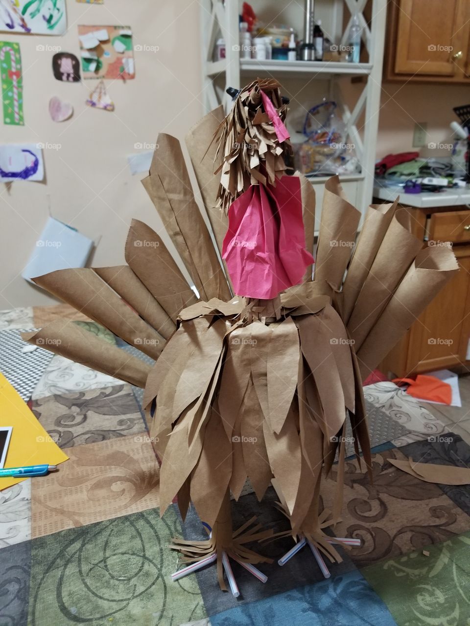 turkey project