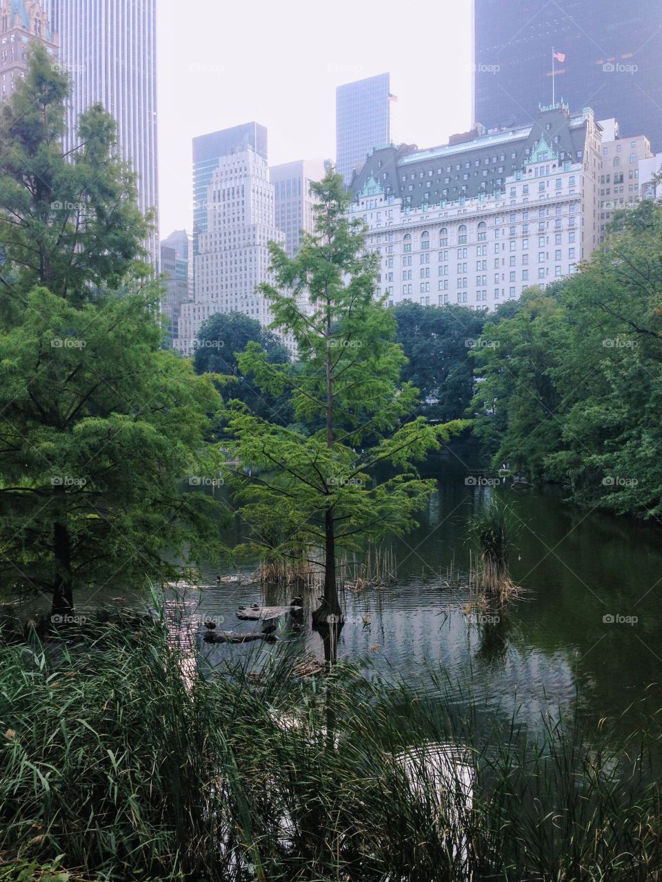 Central Park - New York City 