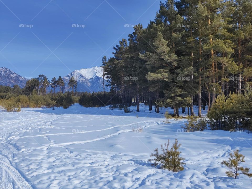 The beginning of spring in the mountains