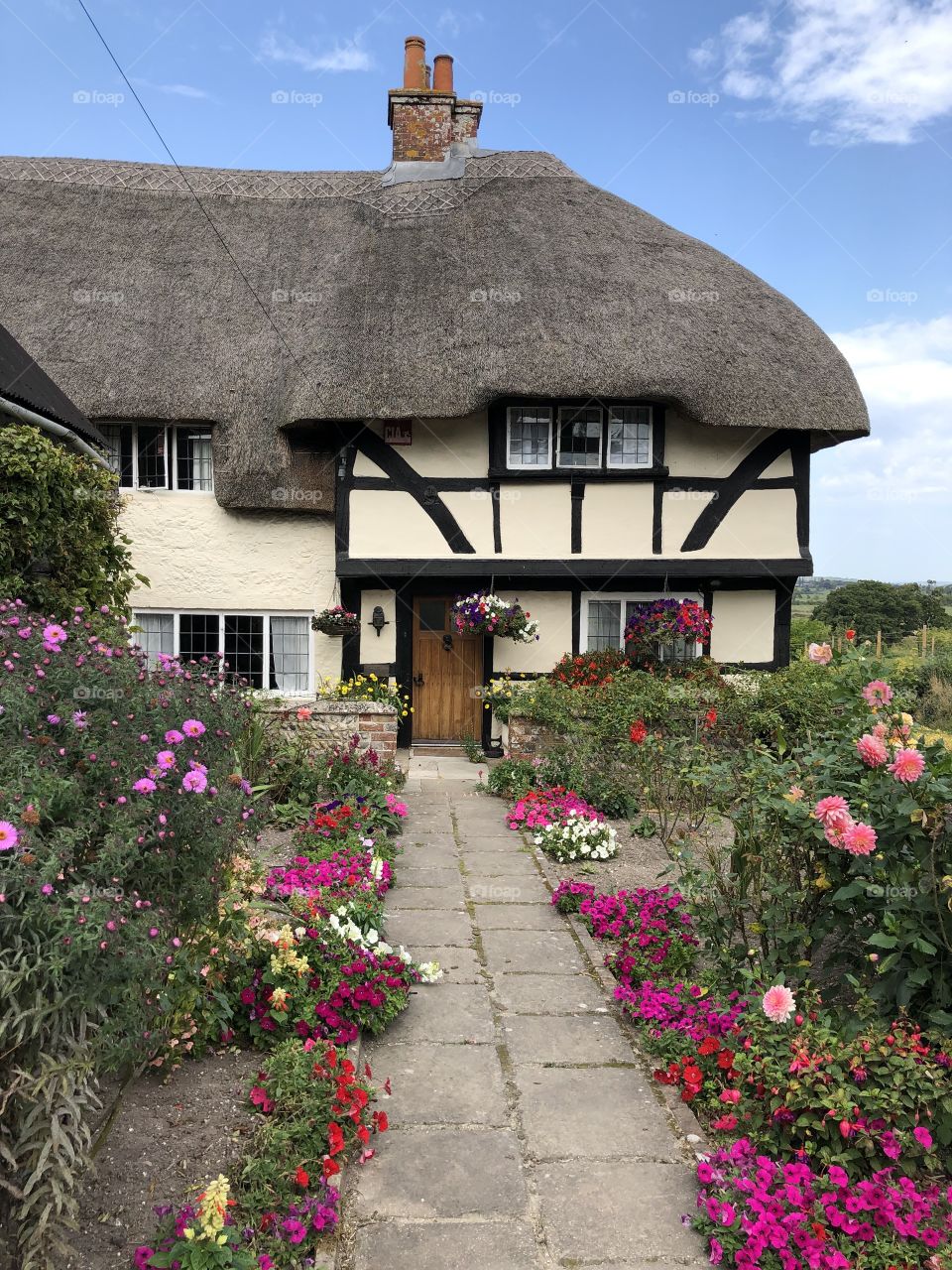 Picture Postcard Thatch Cottage 