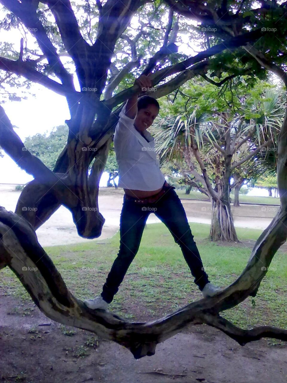 Young woman posing on tree branch in park