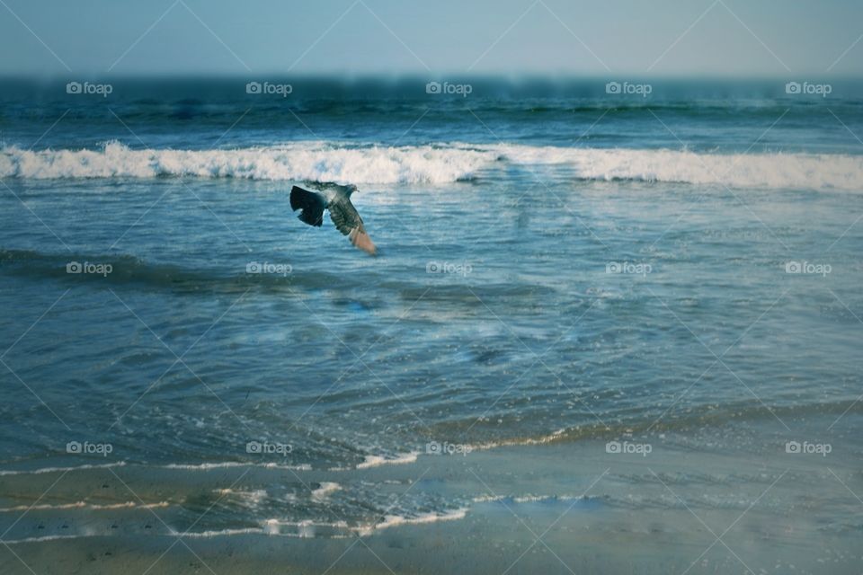 water