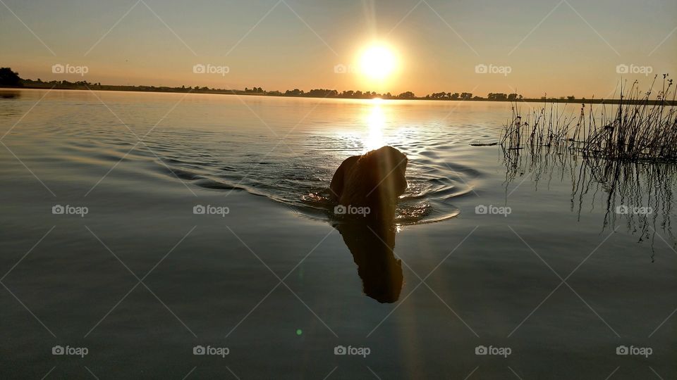 Sunset, Water, Dawn, Sun, Reflection