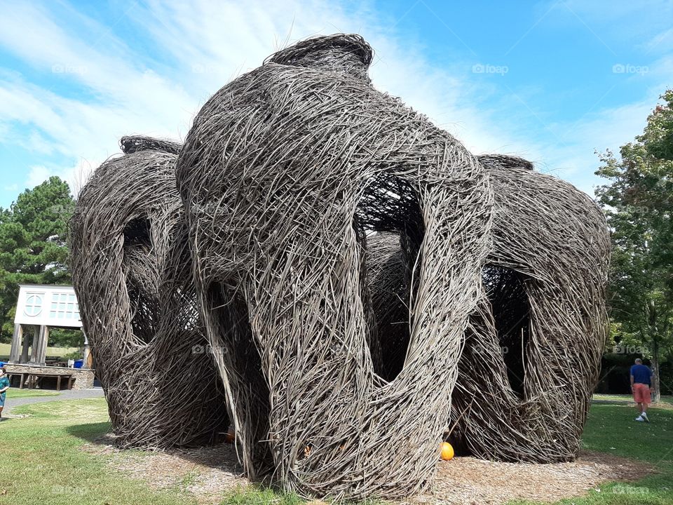 "Magnificent seven " stickwork by Patrick Dougherty .