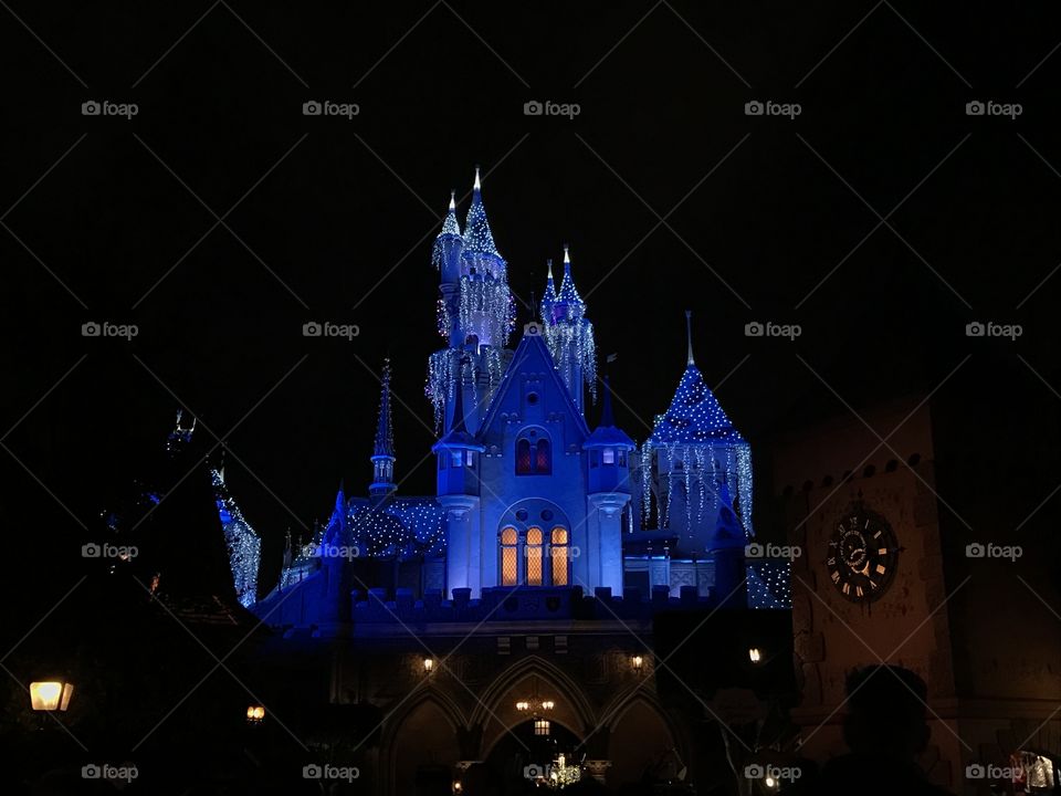 Cinderella's Castle by Night 
