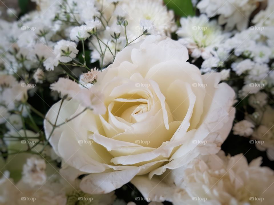 White flower