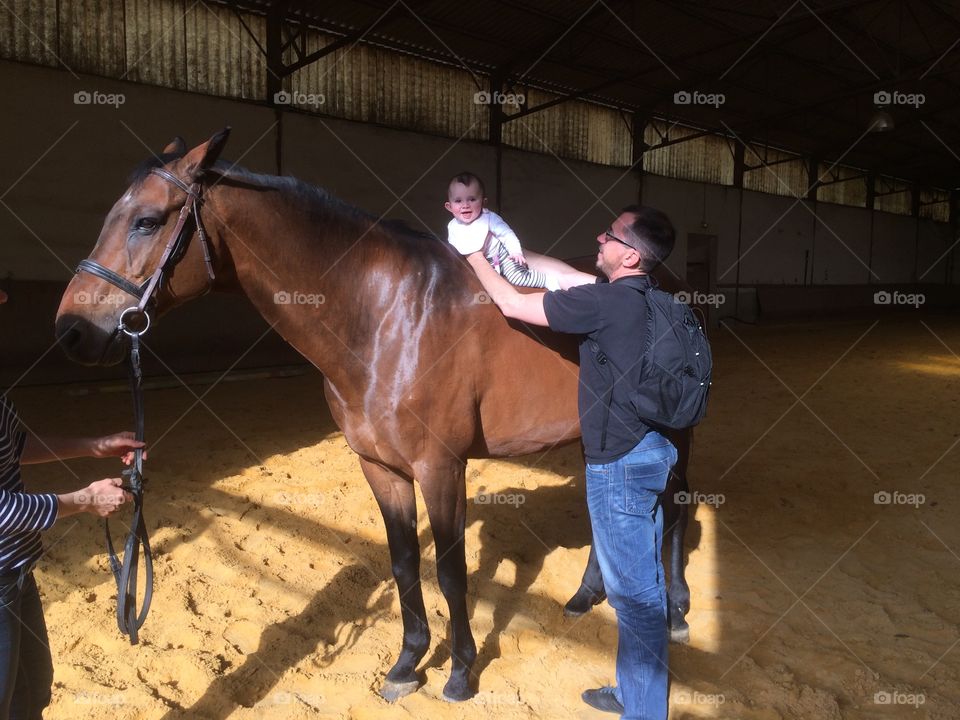 Baby horse riding 