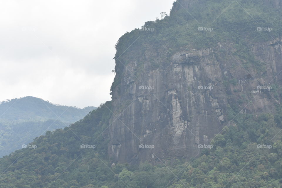Beautiful mountain surrounded by a amazing forest