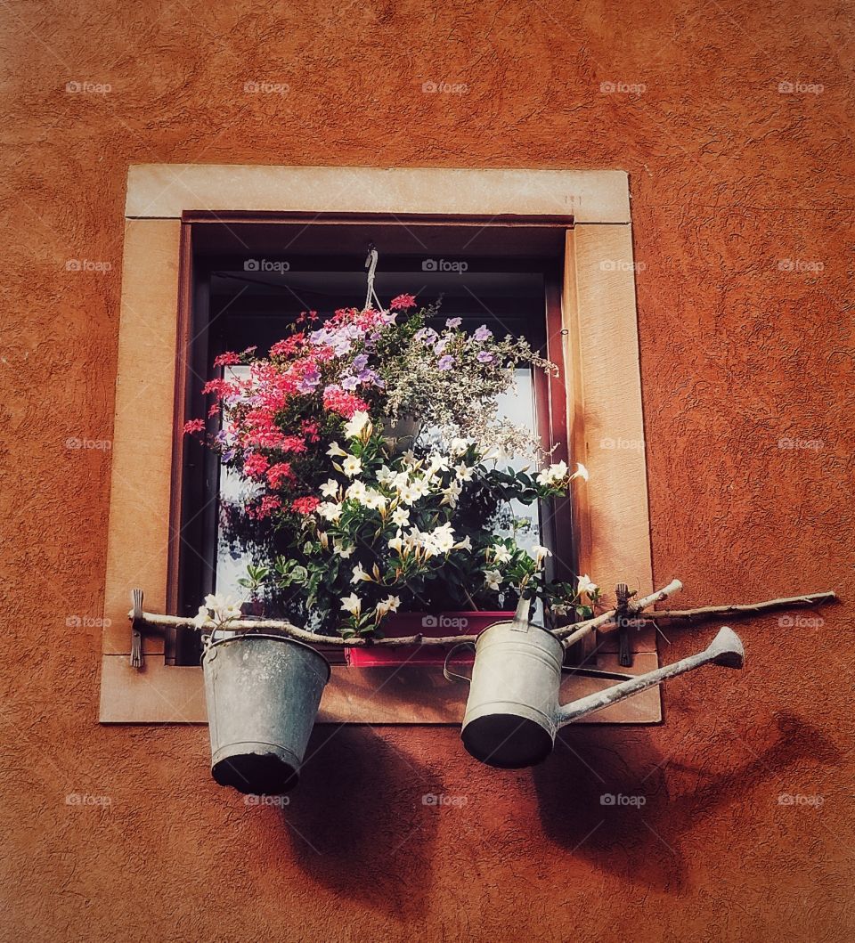 Alsace window decoration