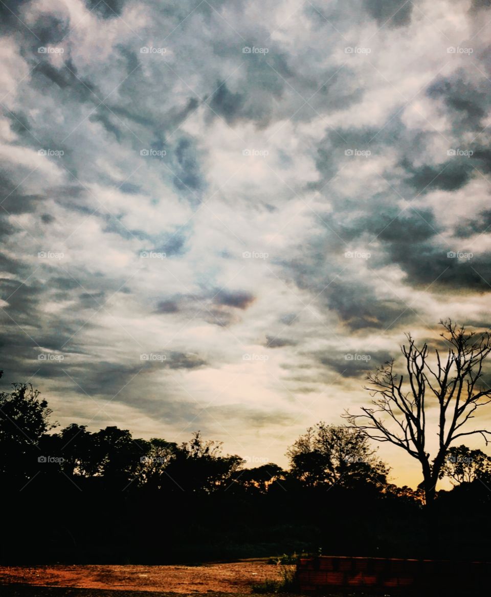 🌅Desperte, #Jundiaí!
Ótima 3a feira a todos.
🍃
#sol #sun #sky #céu #photo #nature #morning #alvorada #natureza #horizonte #fotografia #paisagem #inspiração #amanhecer #mobgraphy #mobgrafia #FotografeiEmJundiaí