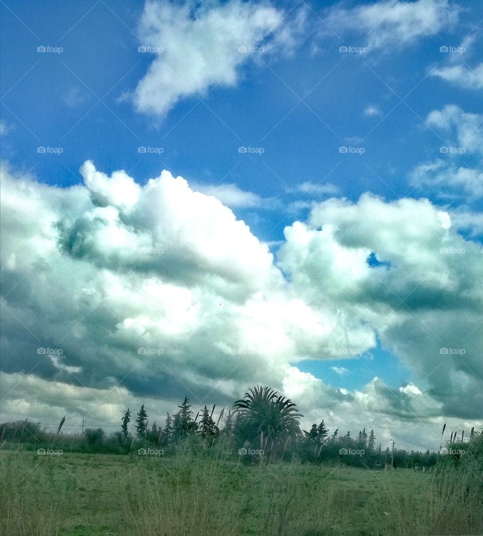 The aesthetic of nature