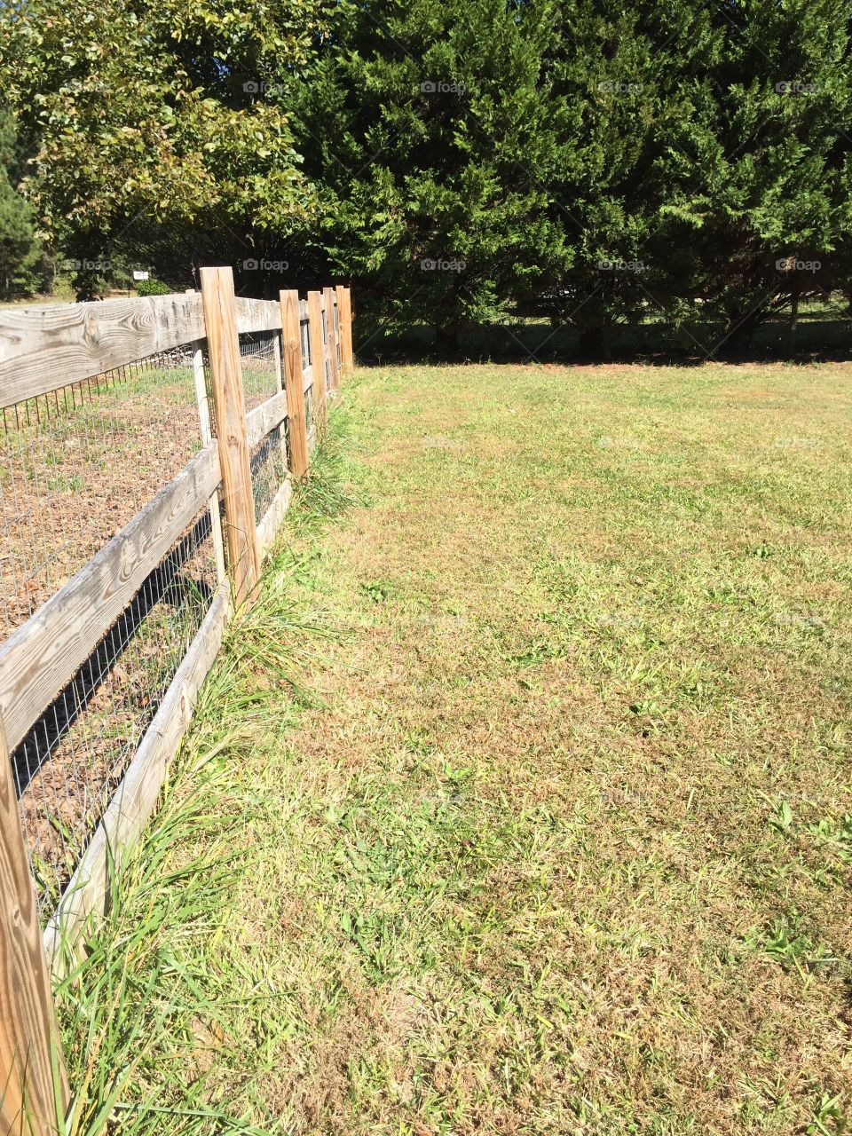 Nice three rail fence outlines this country yard providing both safety and boundaries.