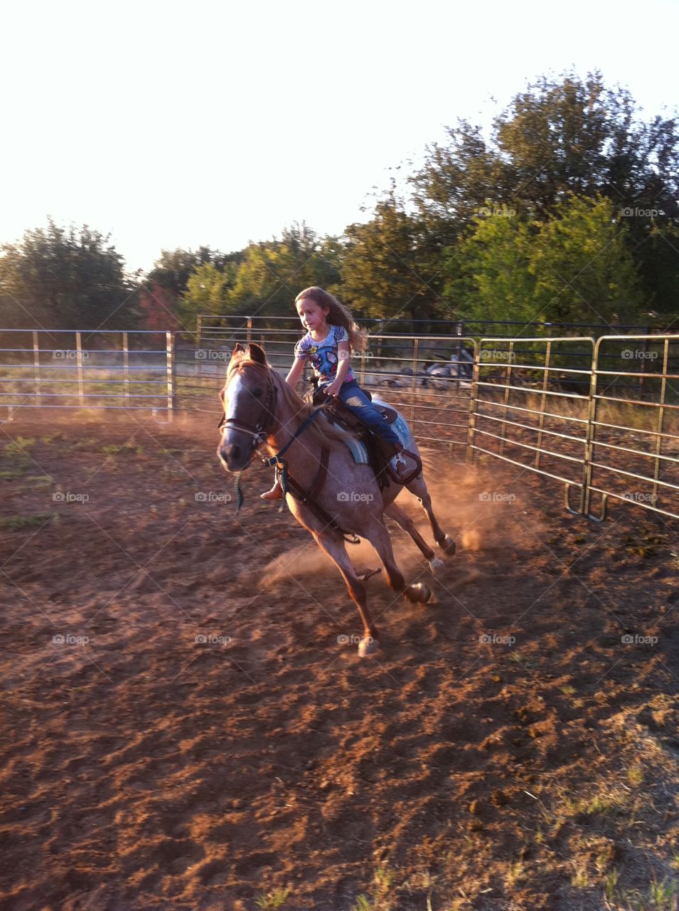 Girl riding a horse in an arena at dusk 