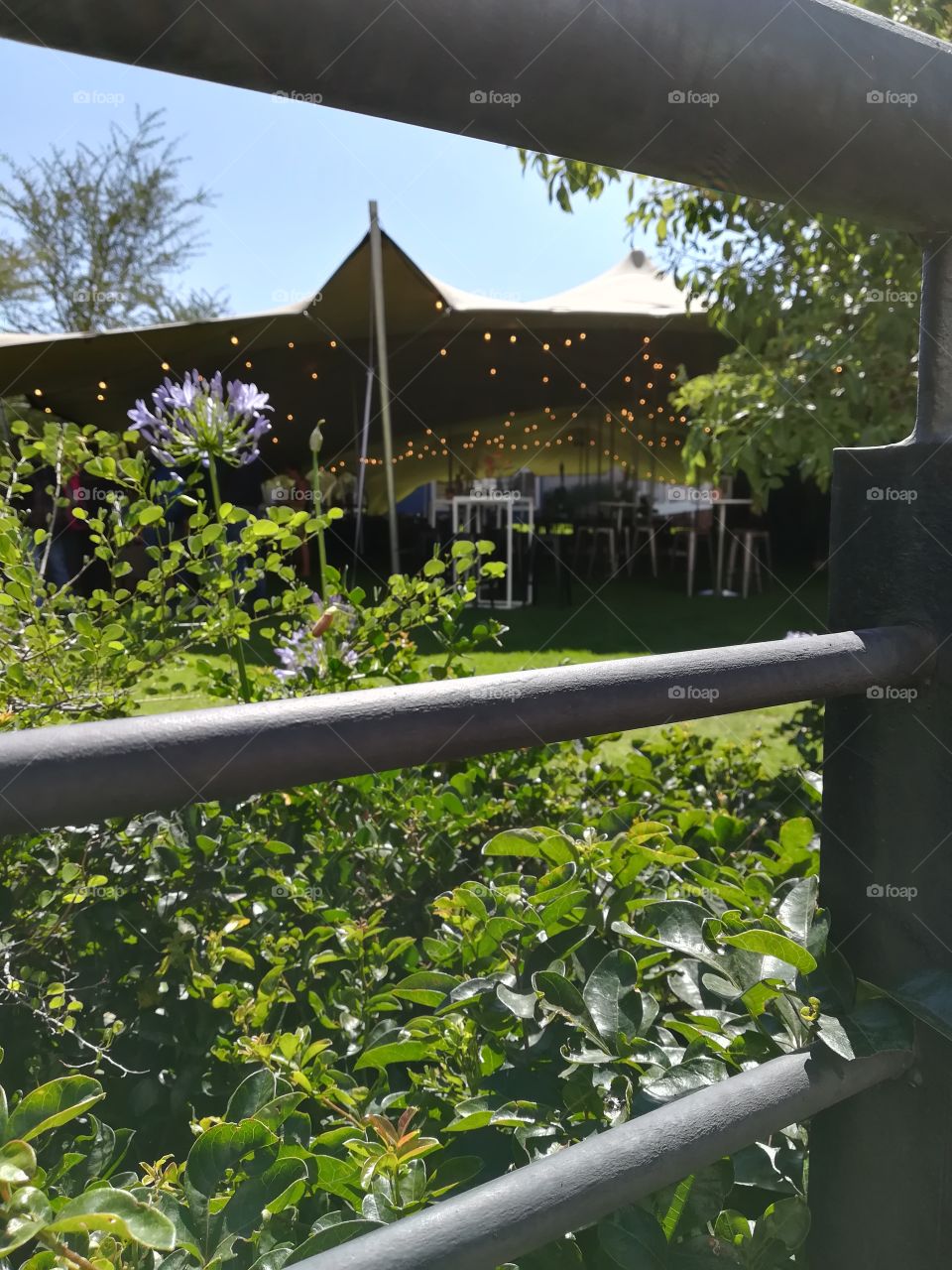 Eve waiting for the night