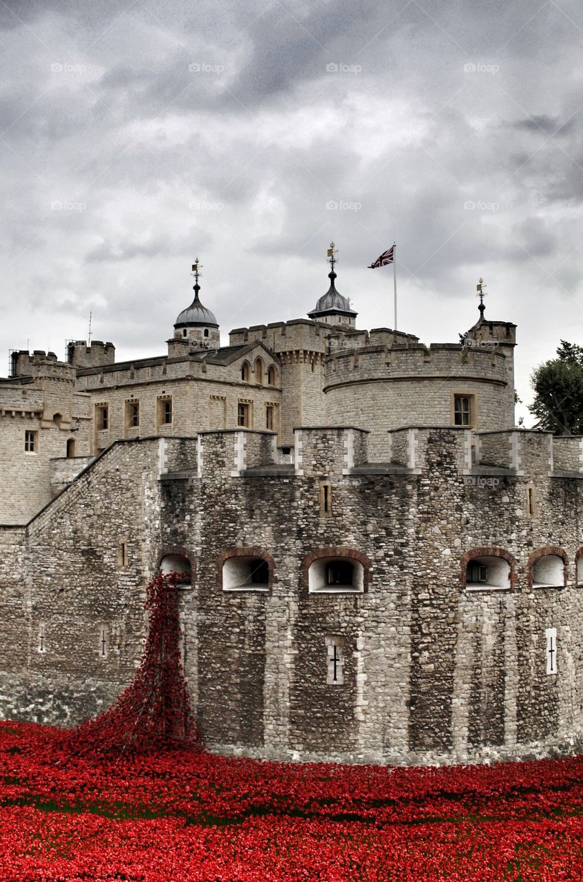 Tower of London Rememberz