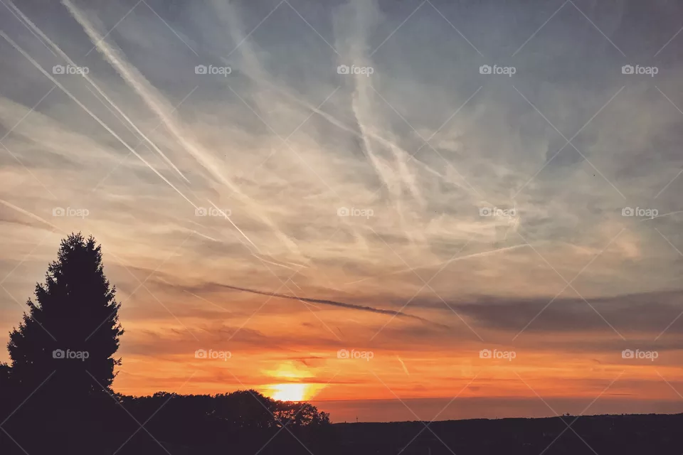 Sky