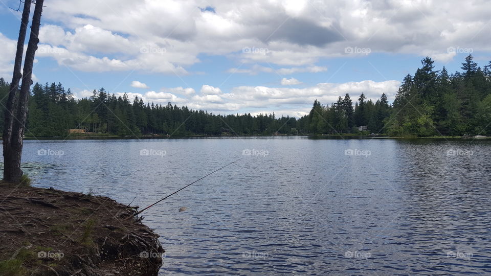 fishing pole on the lake
