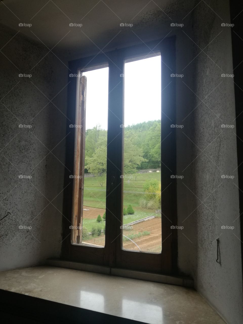 Spring, out of the window