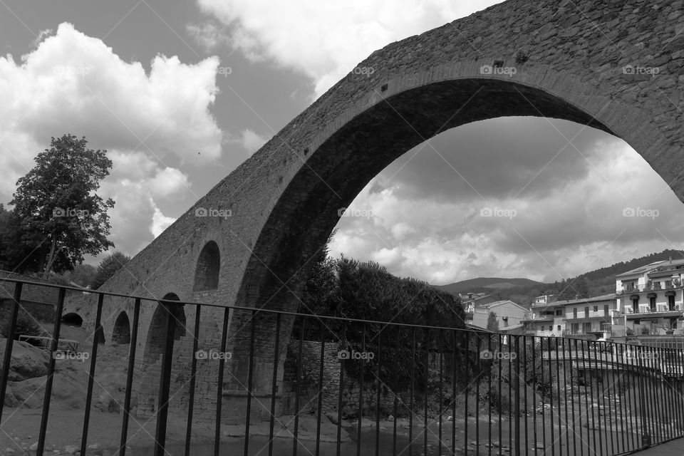 daría bridge