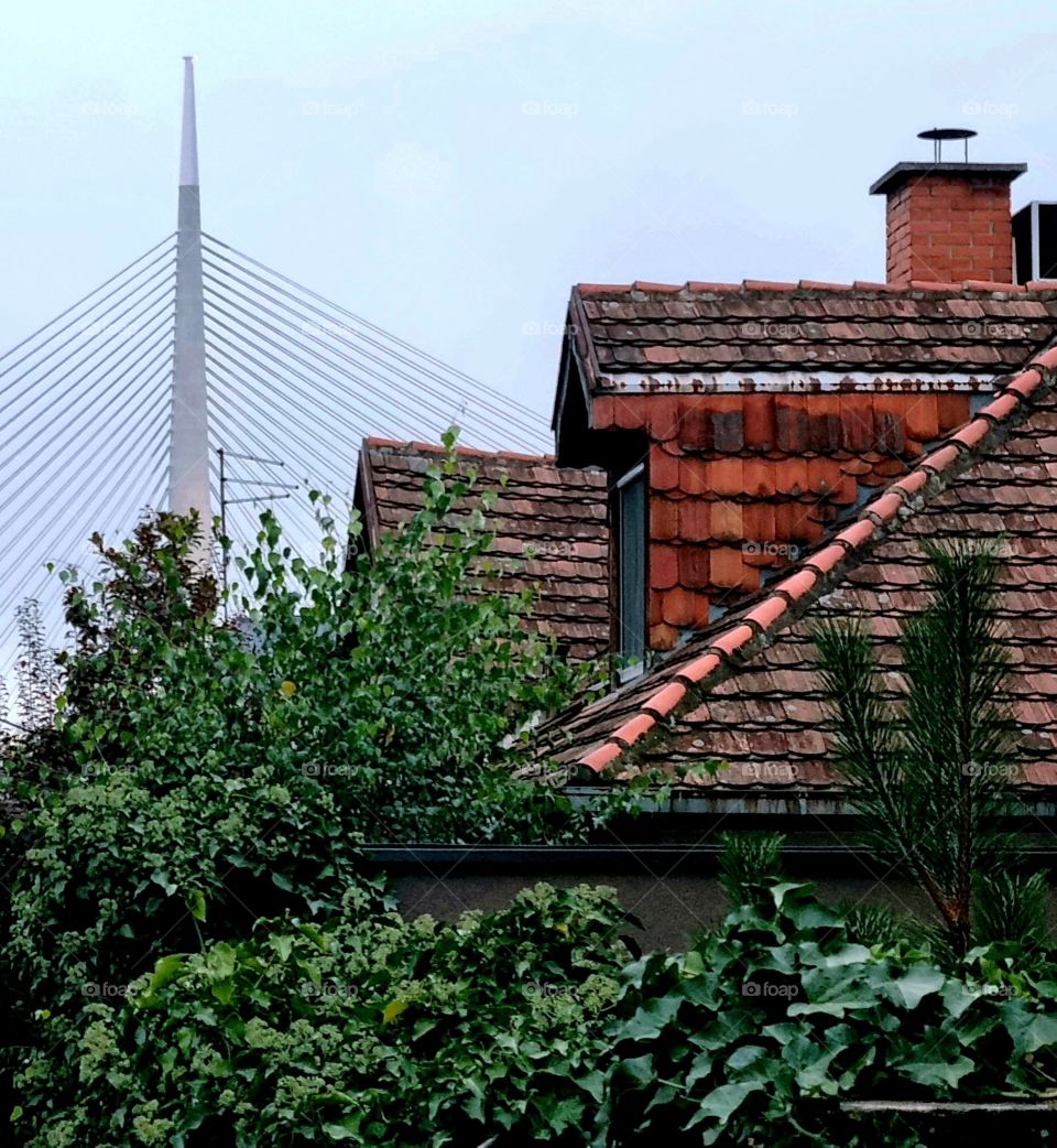 new bridge and old roofs