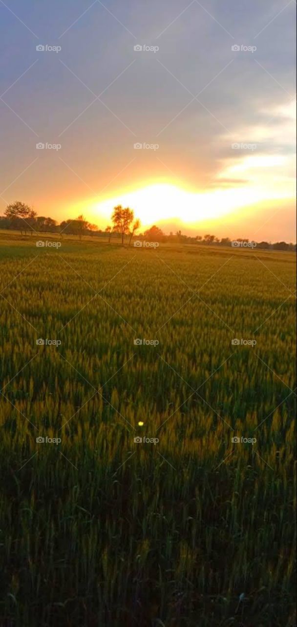 Sun Set with most beautiful word Muhammad