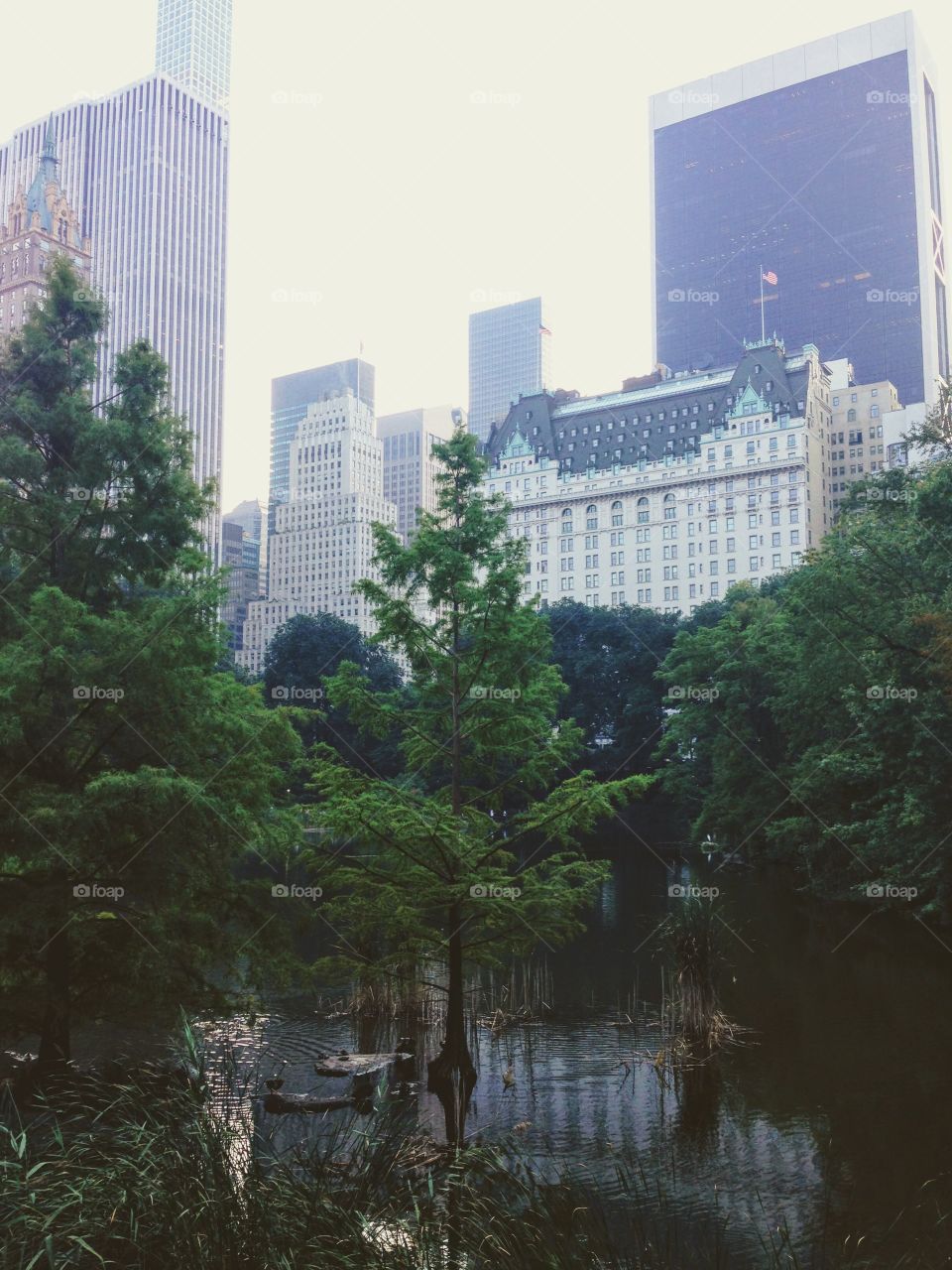 Central Park - New York City 