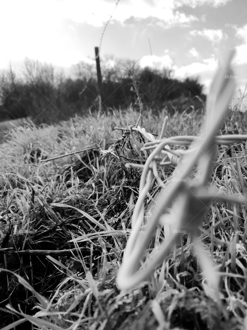 black and white fence
