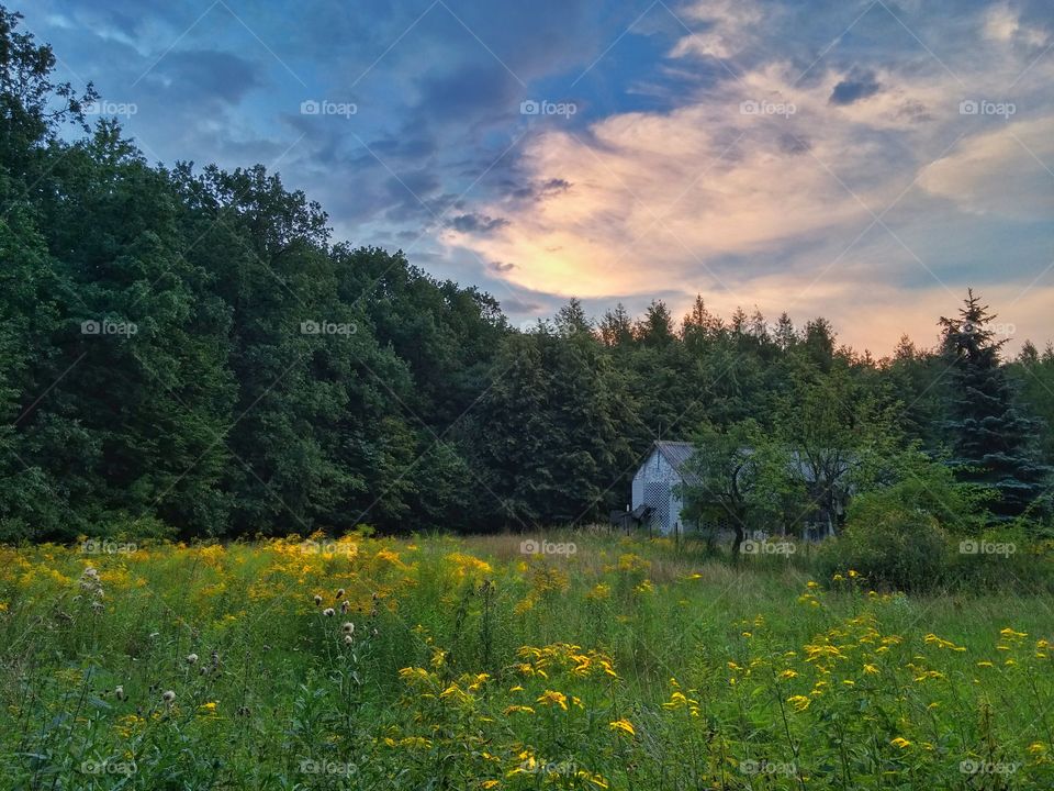 Village landscape