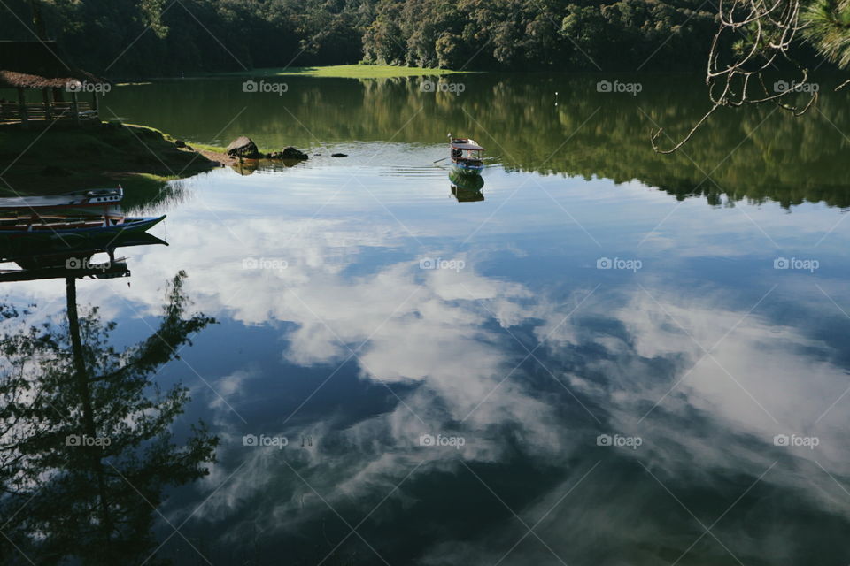 Water, Lake, Tree, No Person, River