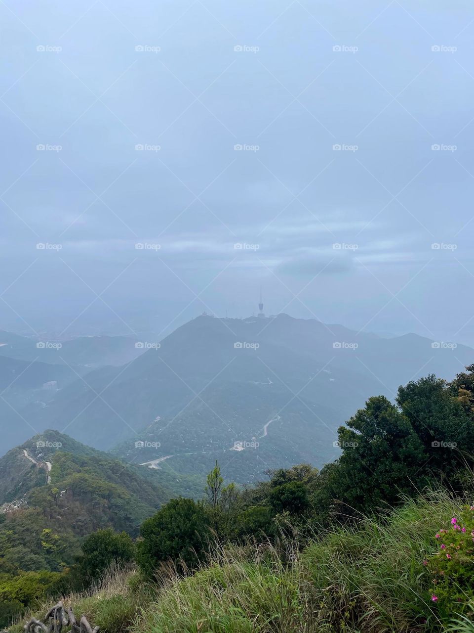 Surrounded by clouds and fog