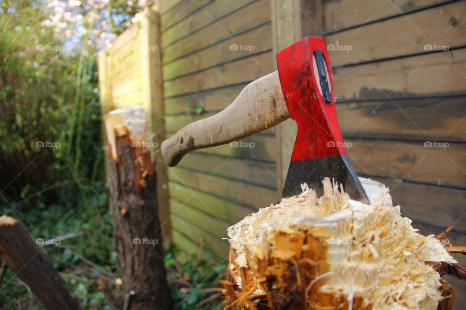 axe in a tree