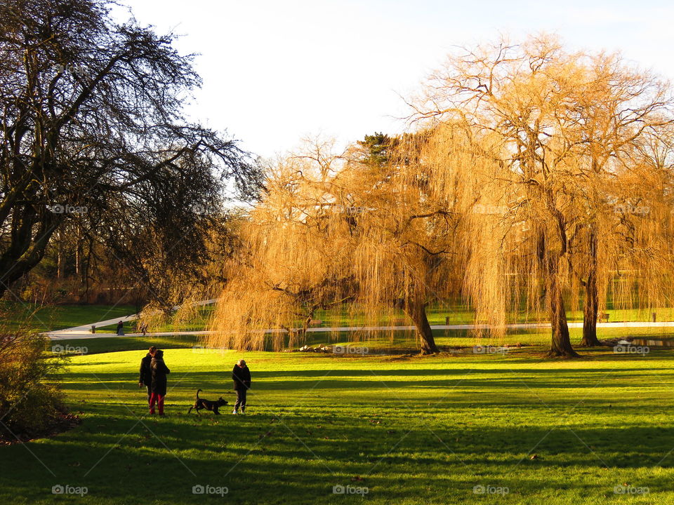 beautiful park