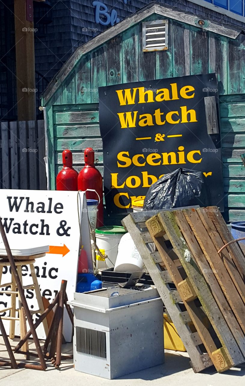 Taking out the trash