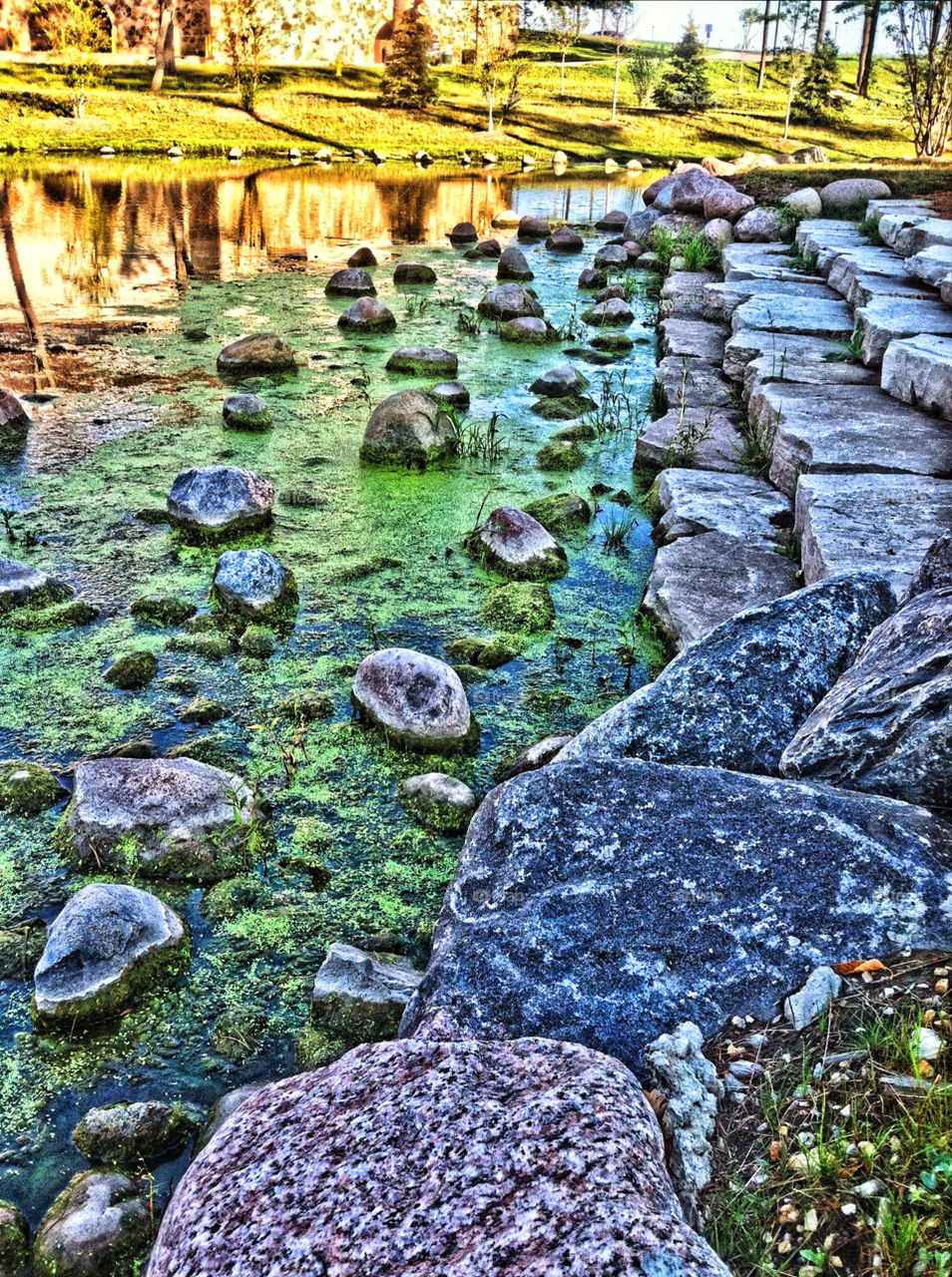 pond water stones algae by fustin
