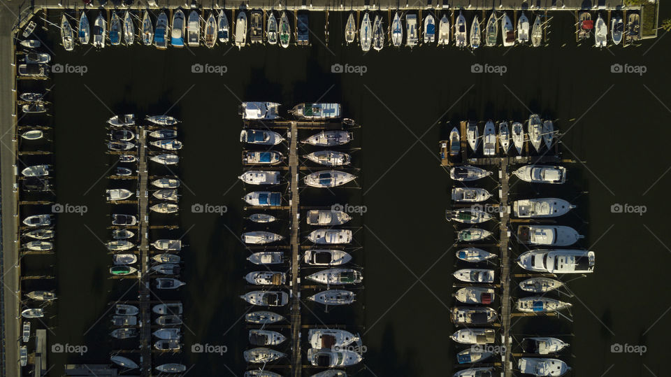 Organized Marina