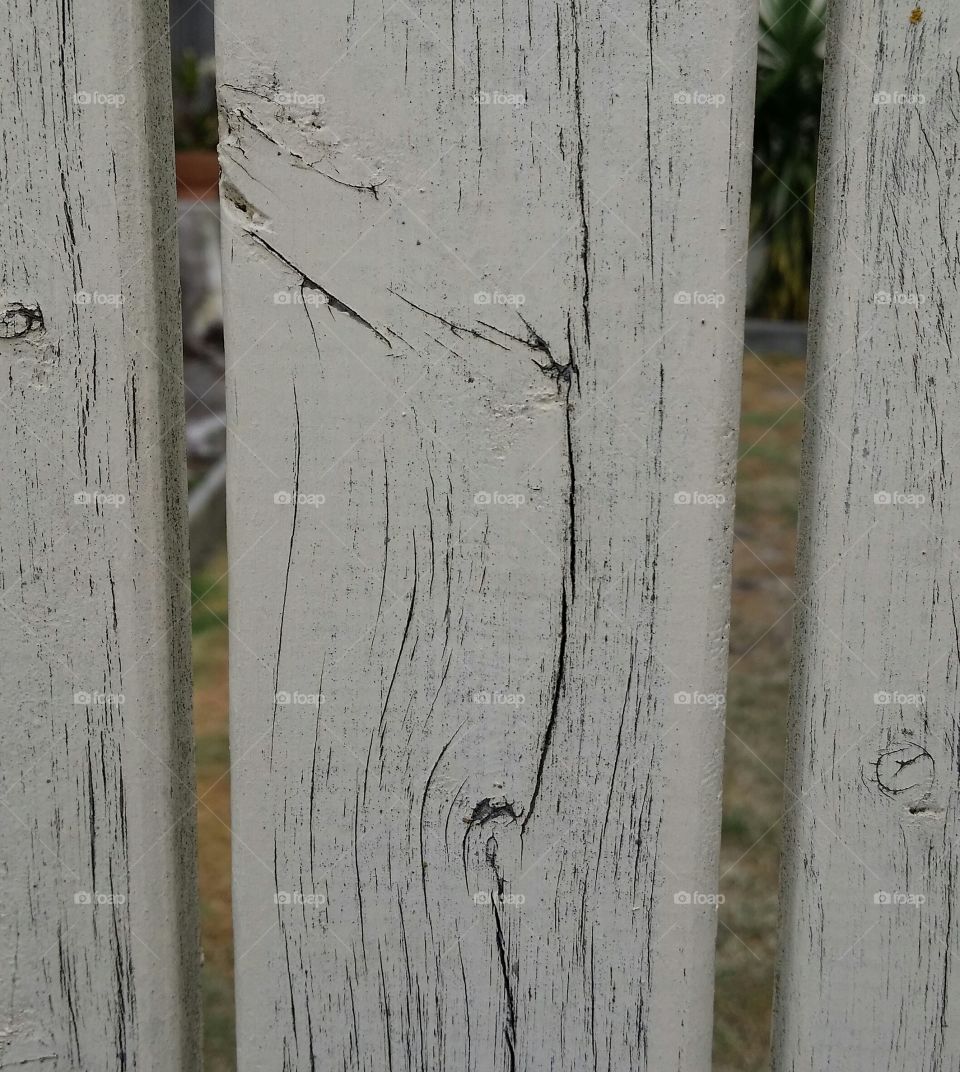 Fence Art