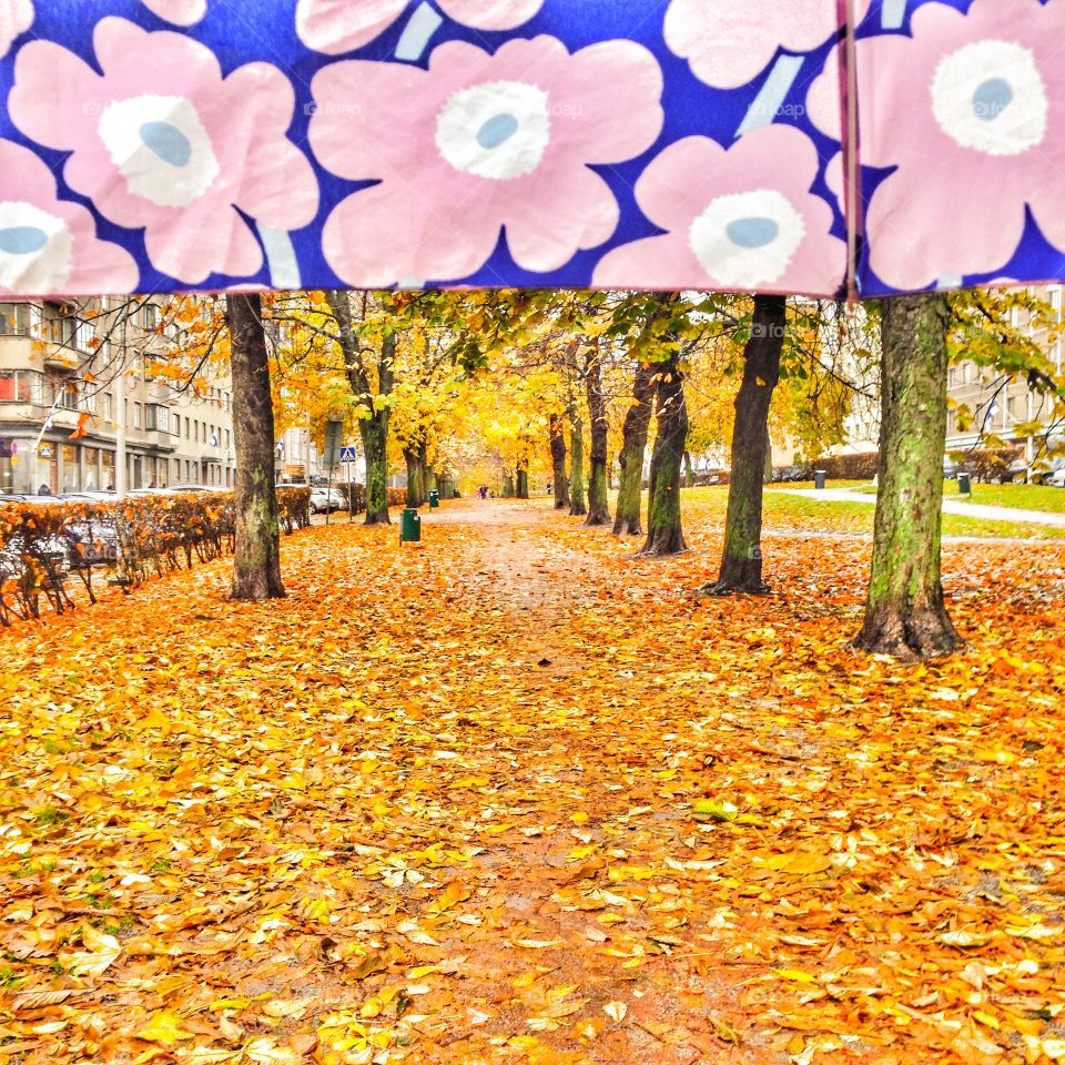 under my autumn umbrella helsinki