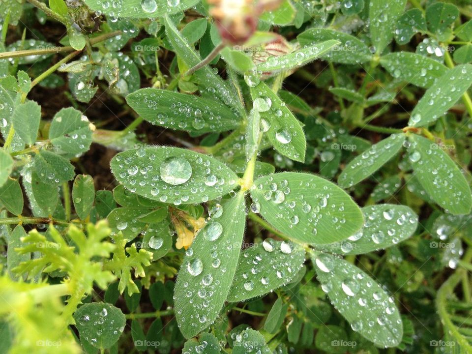 You can make diamonds from the rain