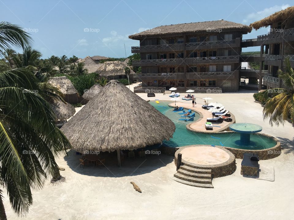 Palm, Resort, Beach, Hotel, Vacation