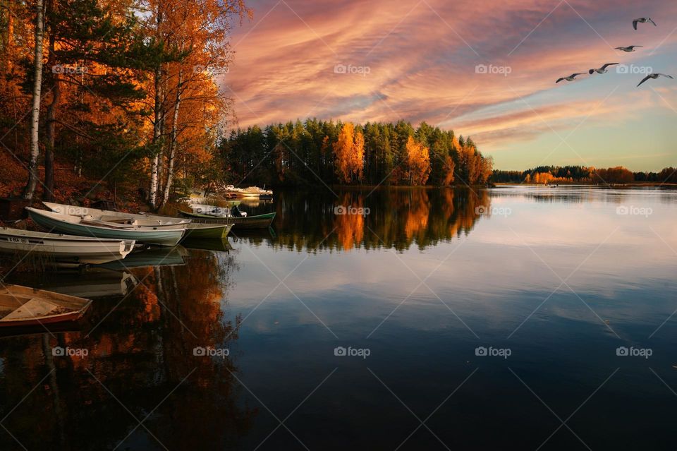 Beautiful lake and maple forest scenery