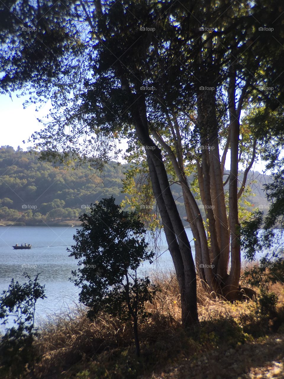 Landscape with a lake 