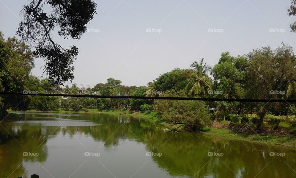 Water, Tree, Lake, River, Nature