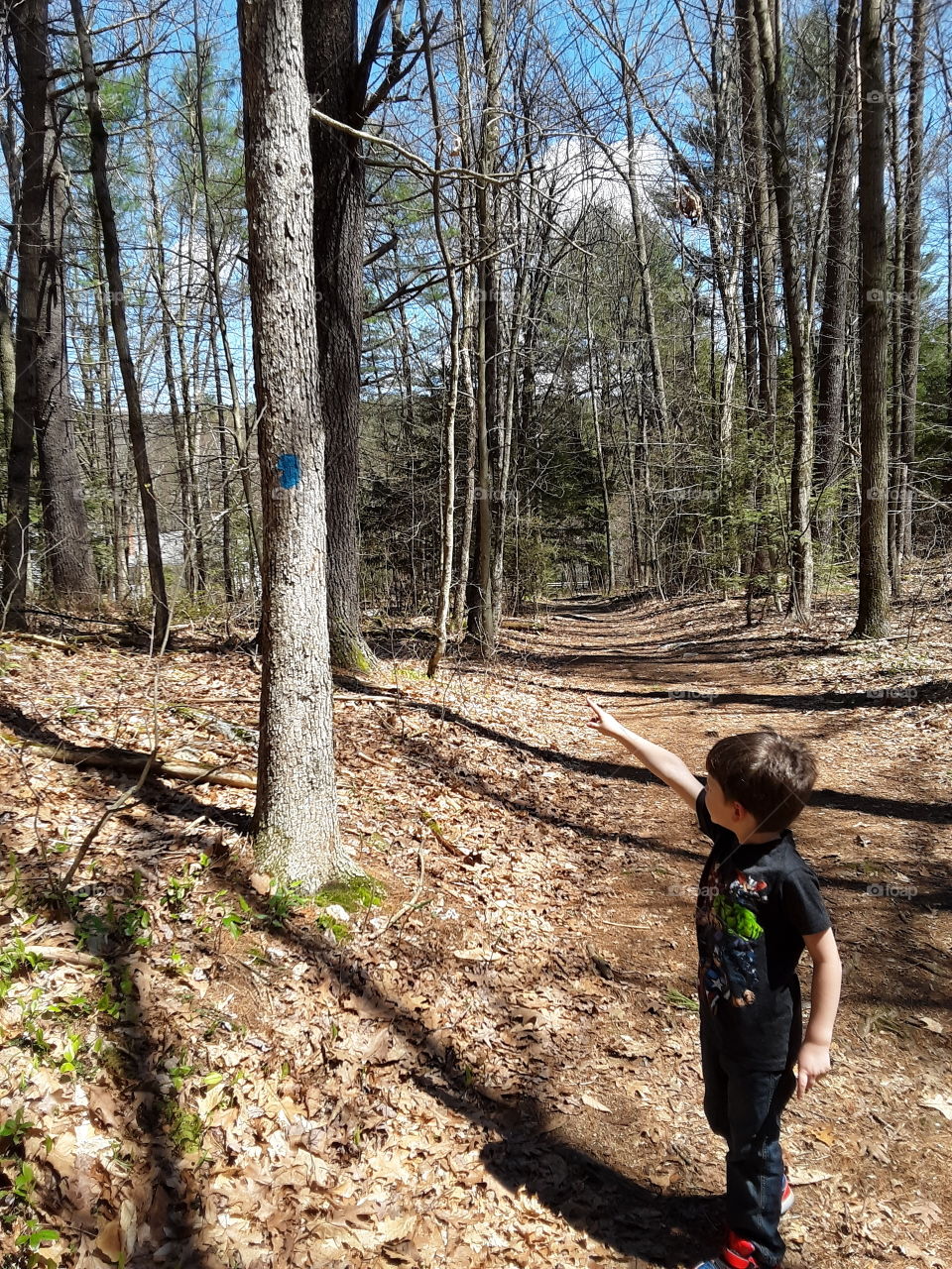 trail marker.  youth in nature