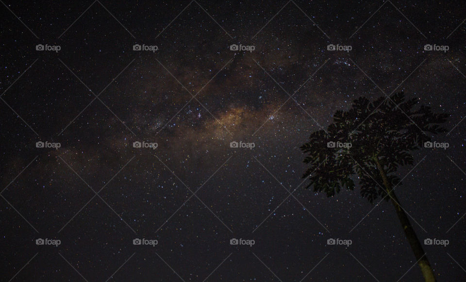 ini adalah pemandangan langit saat malam hari, sebuah galaksi bima sakti yang membentang dilangit.