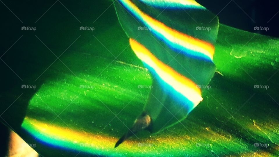 Prism on Green