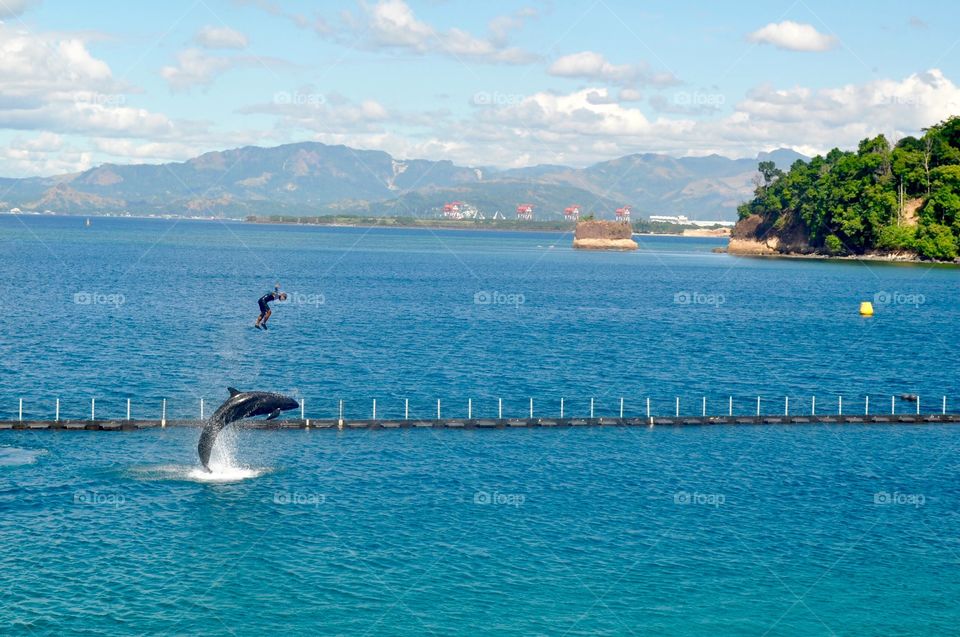 Man jumped over a dolphin