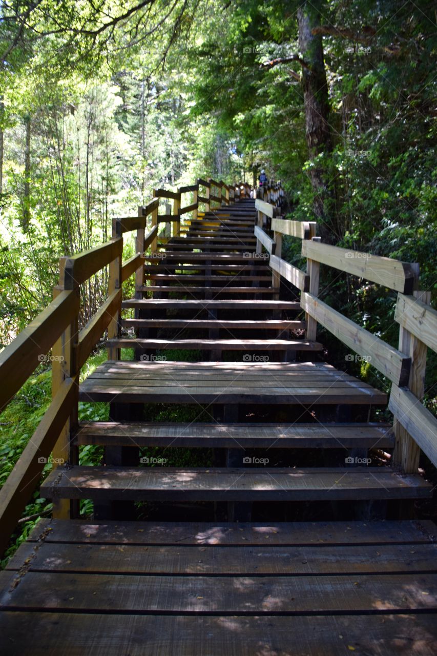 Wood Stairs at Argentinian nacional park