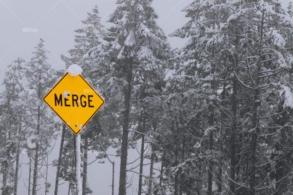 First snow on the road and surrounding trees