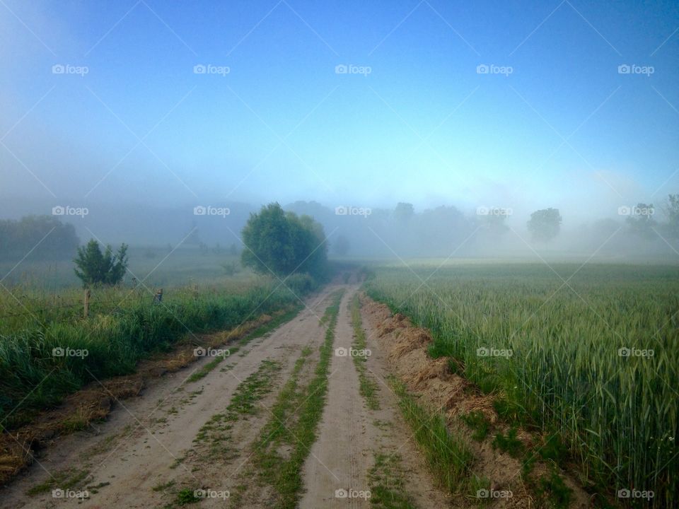 Landscape, No Person, Rural, Nature, Countryside